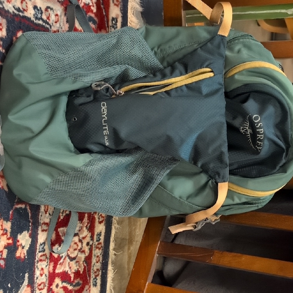 Osprey Green and Blue Backpack Durable and Versatile